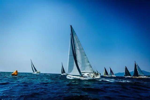 1658218251246064.jpg 1.jpg