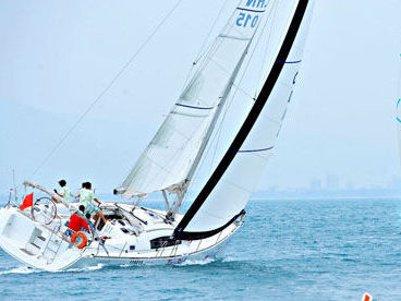 Aloha Cup