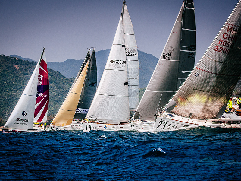 Aloha Cup